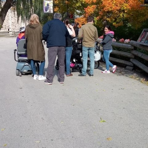 Meet your Posher, Carolyn - Picture 1 of 1